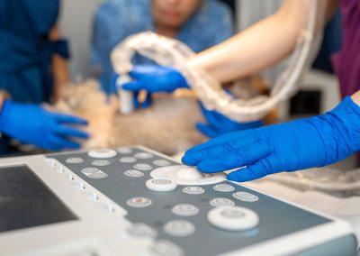 instalaciones-centro-veterinario-a-caeira-cevac