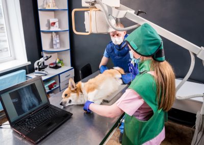 instalaciones-centro-veterinario-a-caeira-cevac